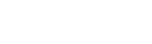 Logo +41