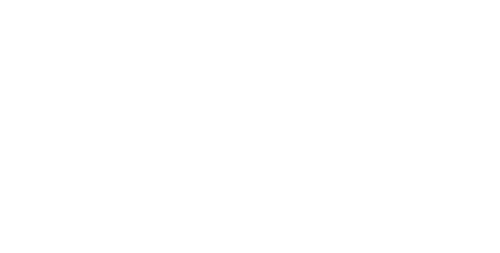 Logo Black Bull Invest