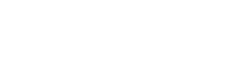 Logo Borza Real Estate